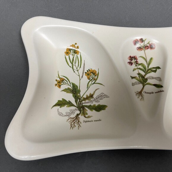 Poole Pottery Divided Serving Dish England Country Lane Trinket Flowers Roots - Picture 2 of 6
